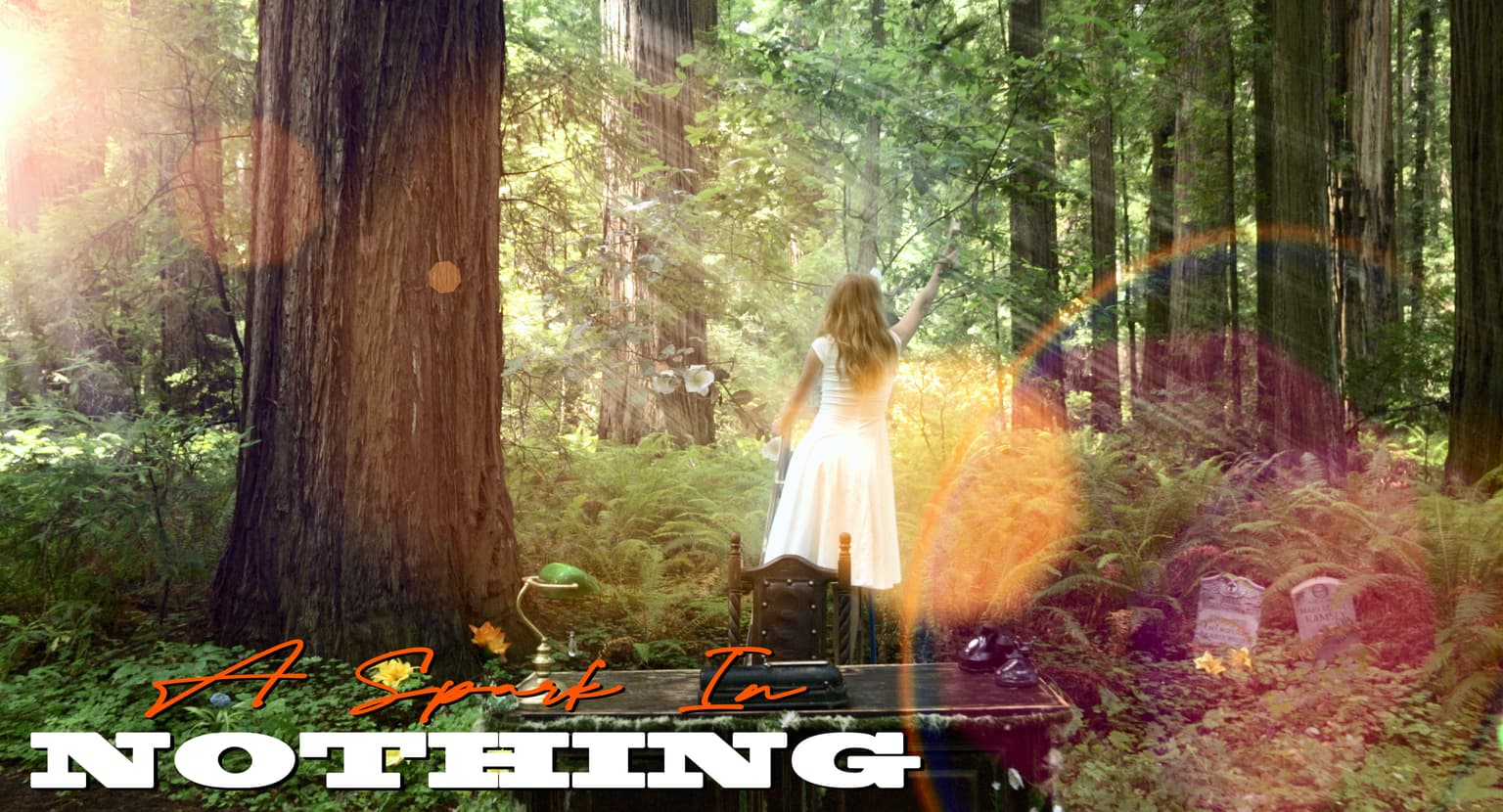 بوستر A Spark in Nothing 