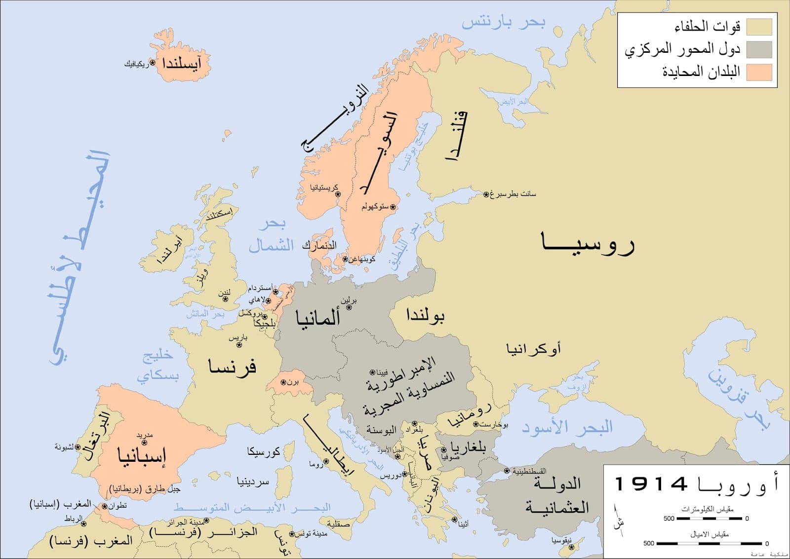 من هم الحلفاء