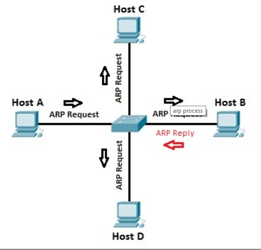 مبدأ عمل بروتوكولِARP