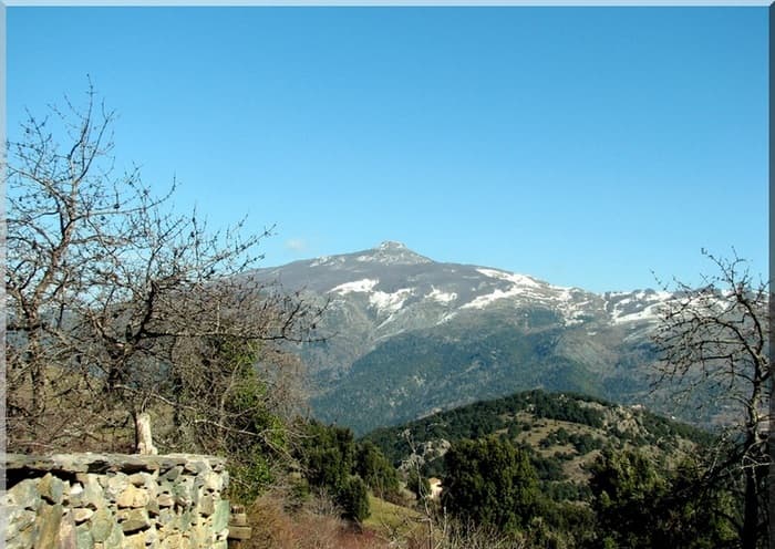 جزيرة كورسيكا
