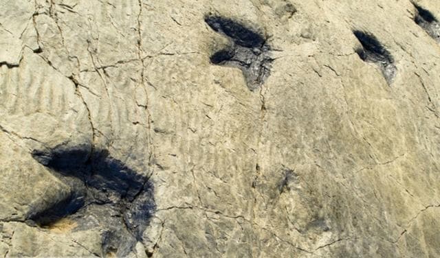 الآثار Traces