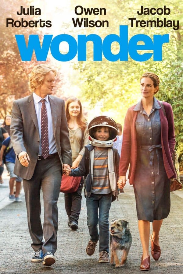 The Wonder فيلم