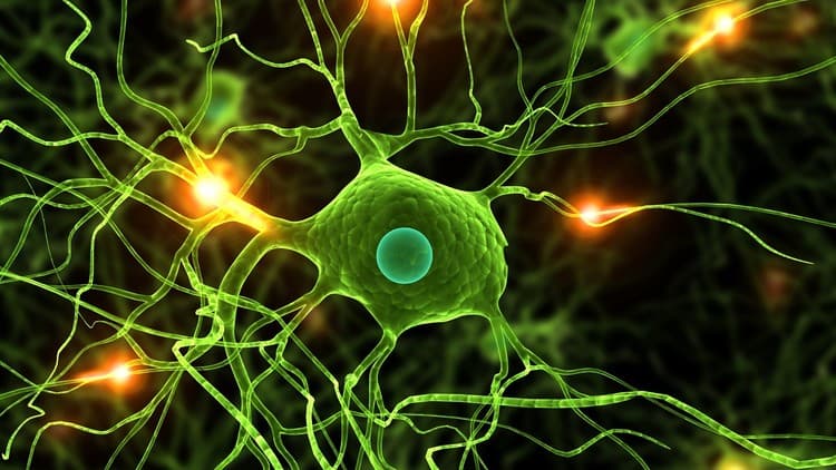 أفضل كورسات الشبكات العصبونية: Data Science- Deep Learning in Python