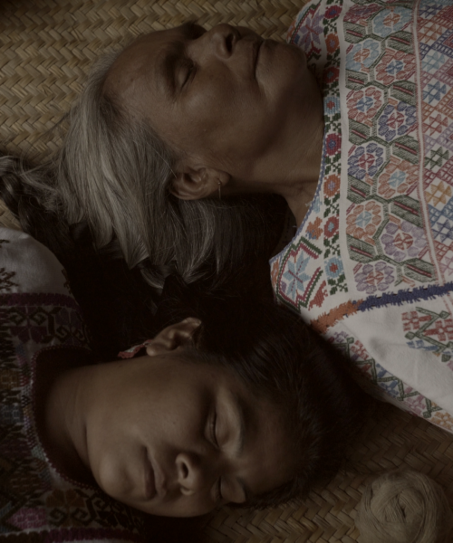 فيلم prairie flowers