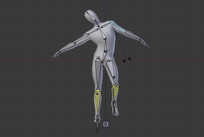 تركيب العظام الوهمية Rigging