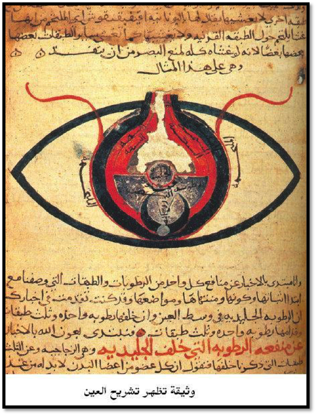 اختراعات علمية
