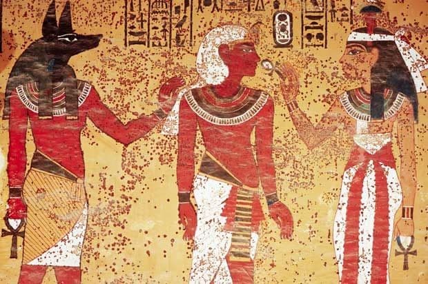 الفرعون توت عنخ آمون قُتل بواسطة فرس نهر! - مصر القديمة