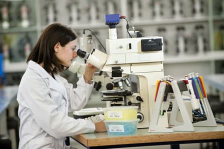 افضل جامعات الهندسة الكيميائية في بريطانيا - نيوكاسل