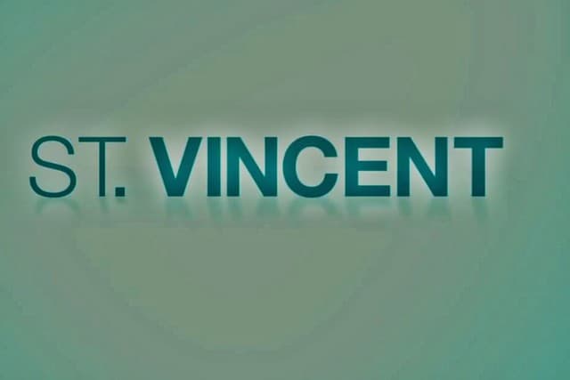 افلام الكوميديا 2014 - فيلم St. Vincent