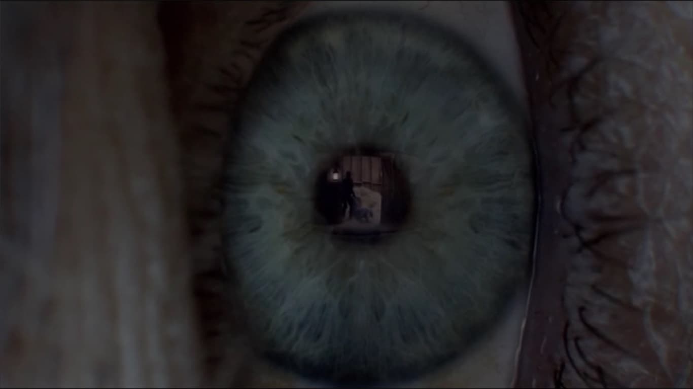 مسلسل westworld - مشهد اغتصاب راعي الأبقار لـ دلوروس
