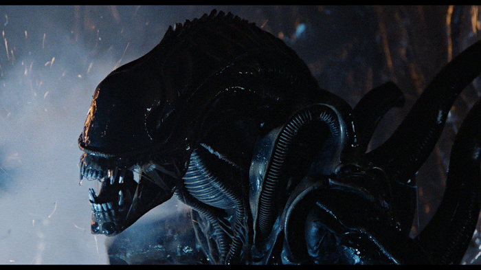 صورة فيلم Aliens 