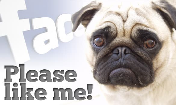 facebook-please-like-me الصحافة الرخيصة