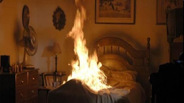 human-combution