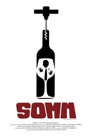 بوستر فيلم somm أفلام وثائقية عن الشركات الناشئة