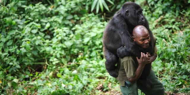 افضل افلام ليوناردو دي كابريو - فيلم Virunga