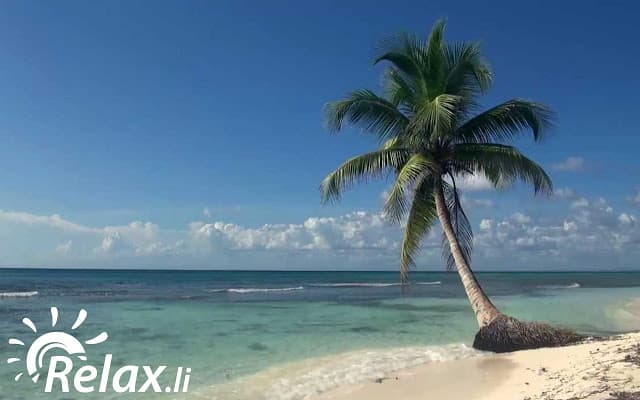 تطبيق relax.li