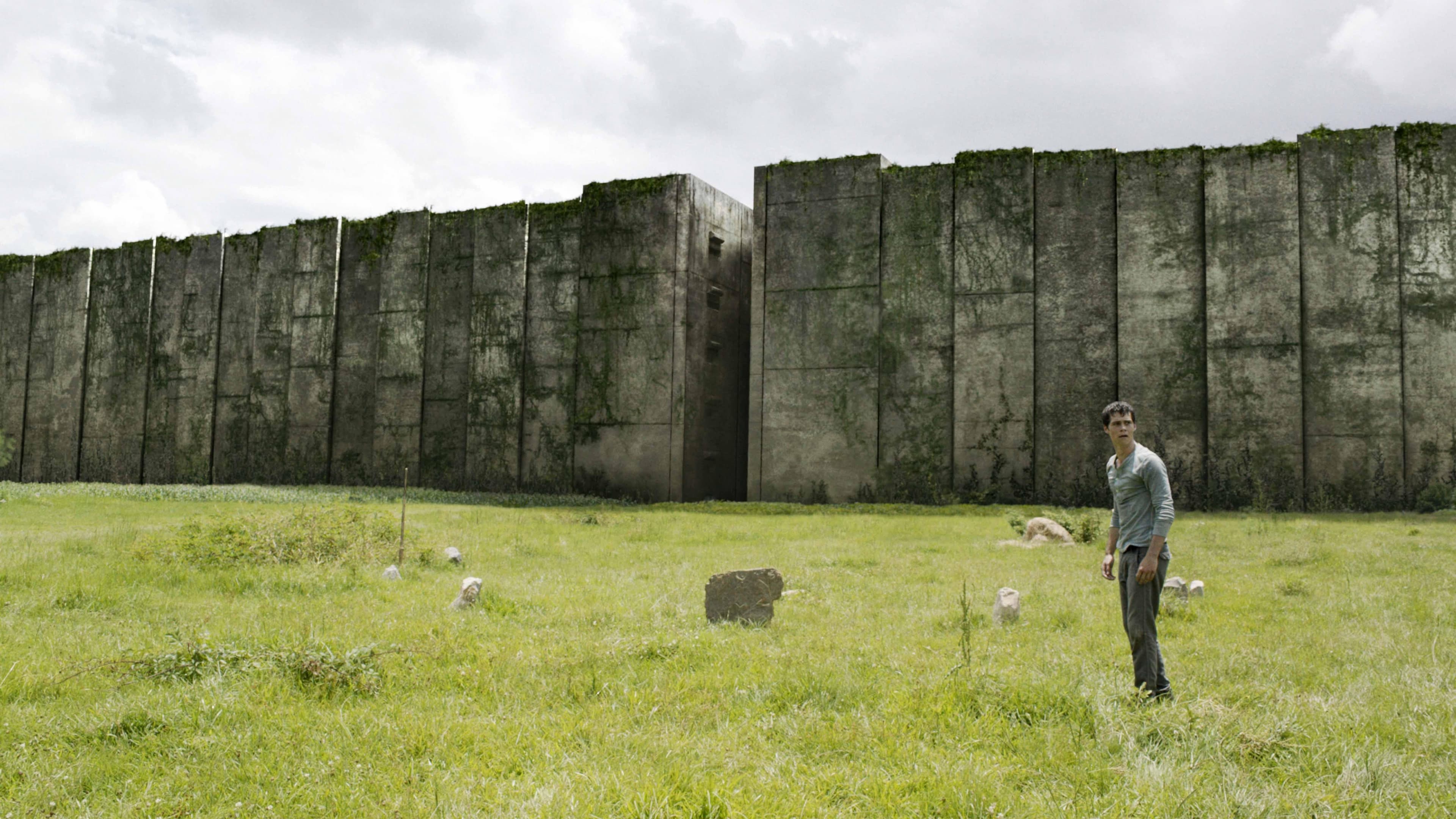 فيلم The Maze Runner - الساحة 