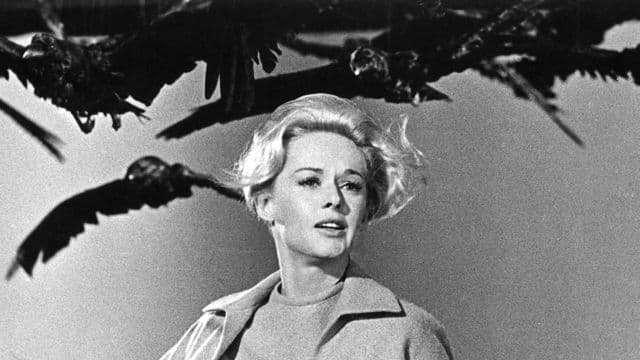 ألفريد هيتشكوك - فيلم The Birds