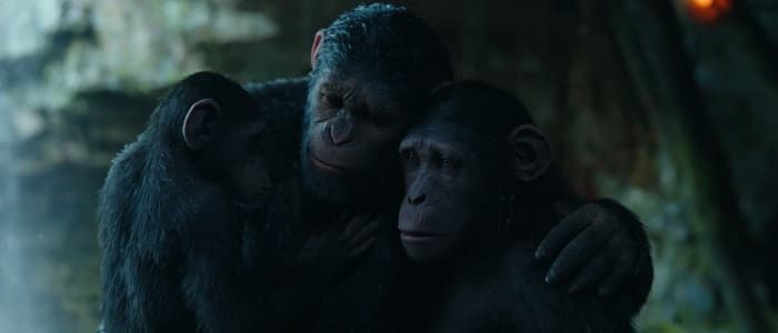 عائلة القدر سيزر فيلم War for the Planet of the Apes