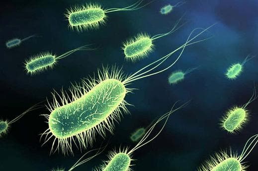 مكملات غذائية