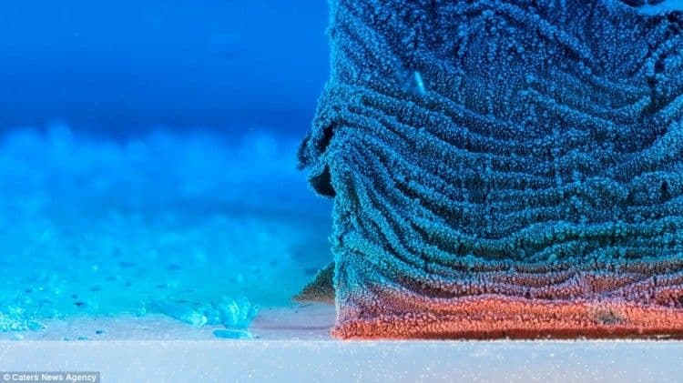 تفاعل كيميائي عن قرب