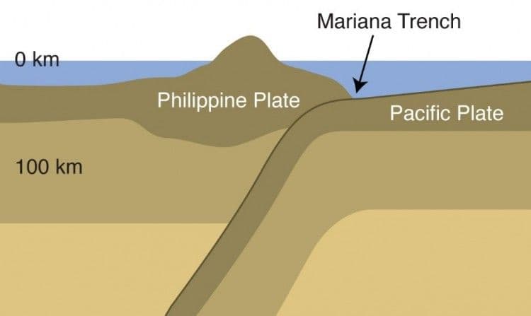 3- المصدر The Amazing World Beneath The Waves