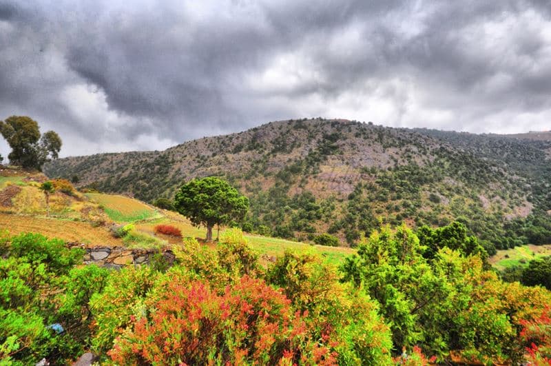 منتزه السودة