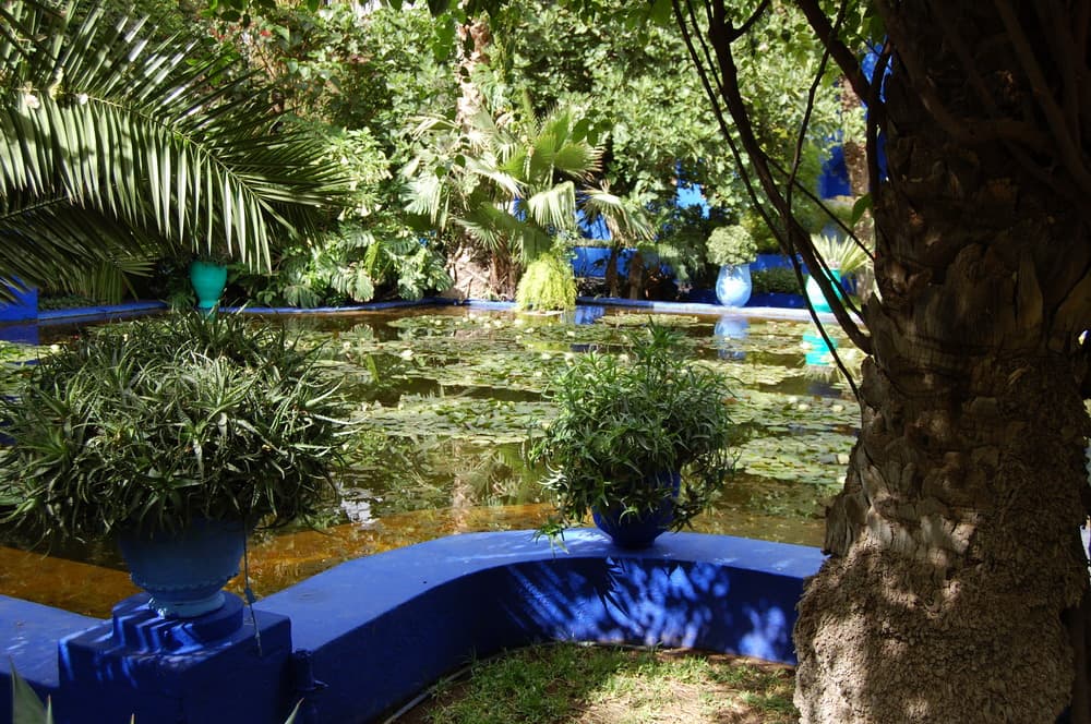 حديقة ماجوريل