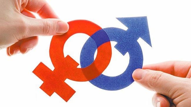 tmp_26058-%d8%a7%d9%84%d8%b1%d8%ba%d8%a8%d8%a9-%d8%a7%d9%84%d8%ac%d9%86%d8%b3%d9%8a%d8%a9-708588876