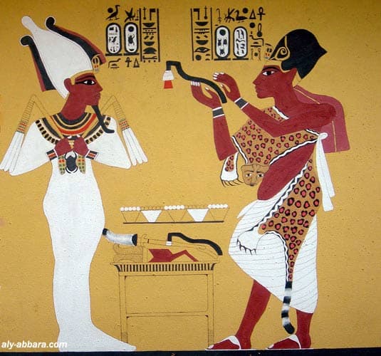 الطب ومعرفة نوع الجنين