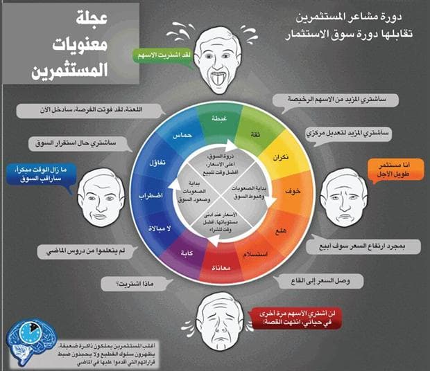 دورة مشاعر المستهلك