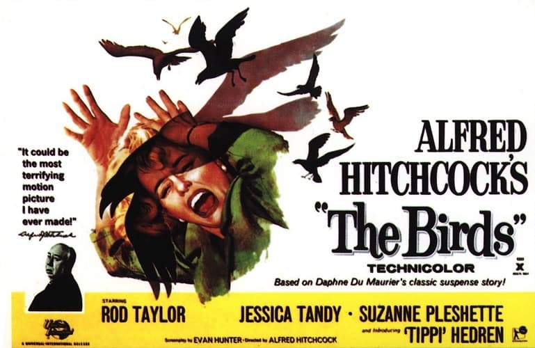 بوستر فيلمThe Birds - أفلام إثارة وتشويق