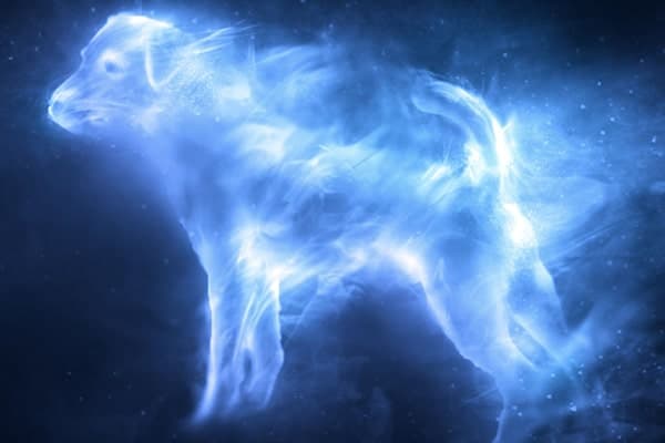 باترونس رون