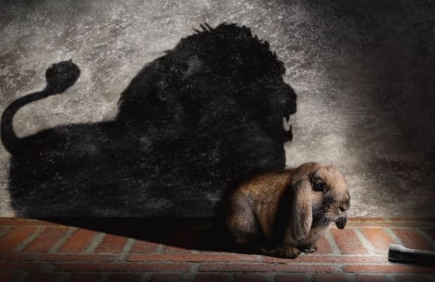 قانون مورفي