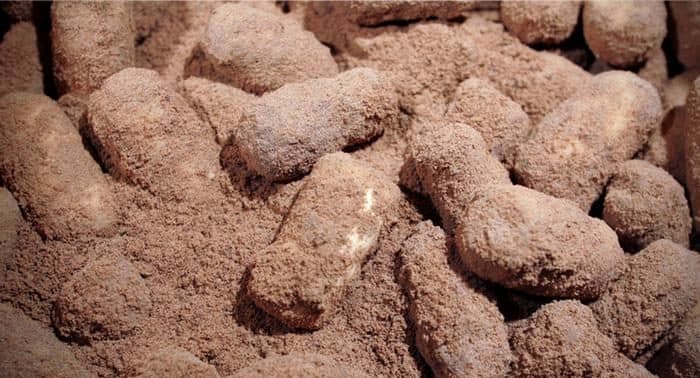 جبن العثّ (Milbenkäse)