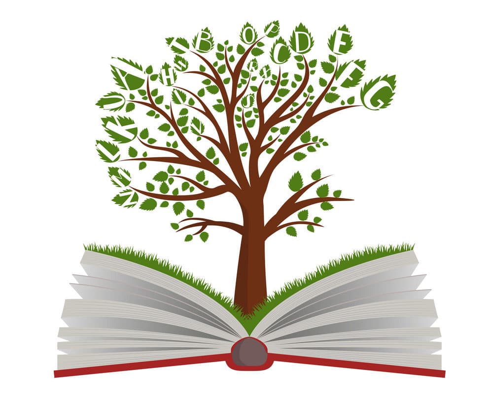 نصائح إيلون ماسك في التعلم