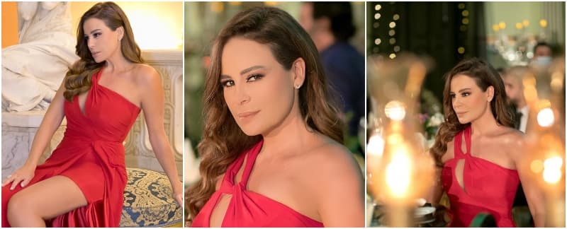 لقطات من فيديو كليب شكرا غناء كارول سماحة