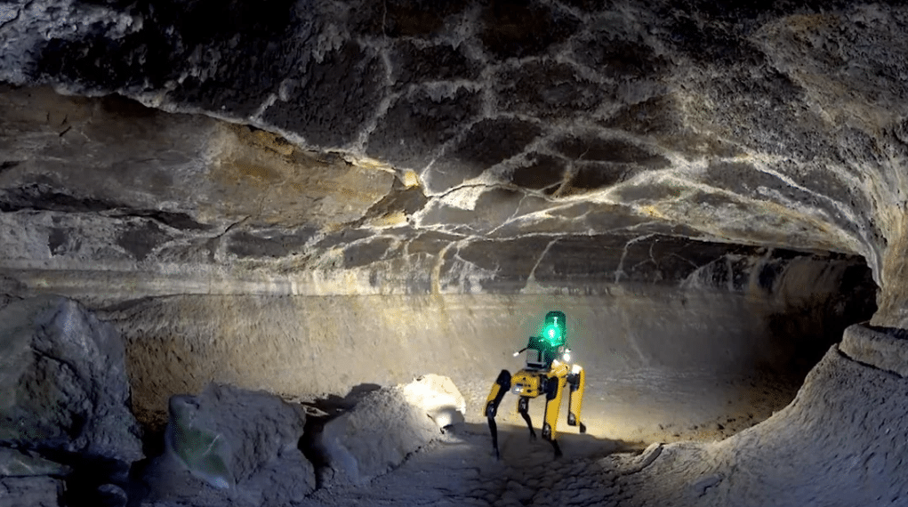 الكلاب الروبوتية