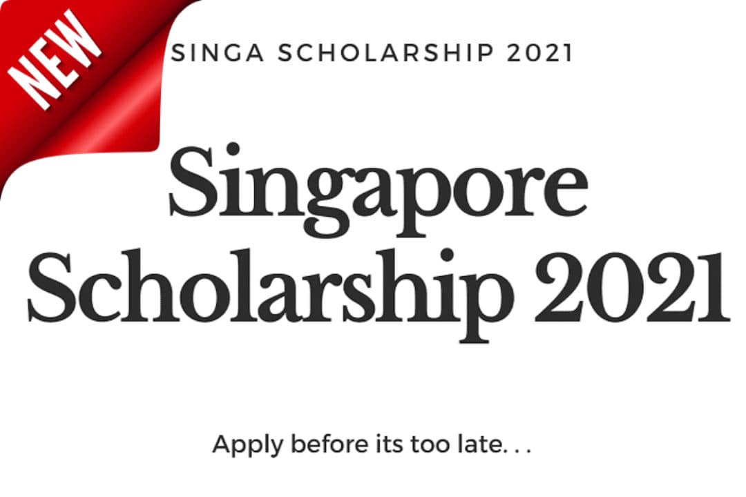 منح جامعية : منحة الحكومة السنغافورية