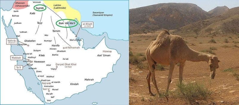 مواقع أحداث حرب البسوس