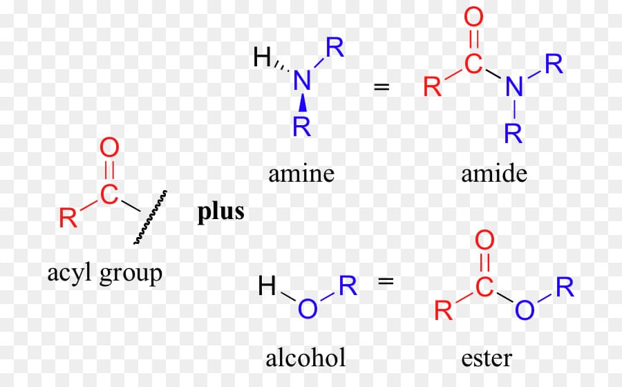 الكحولات و الايثرات و الاميدات