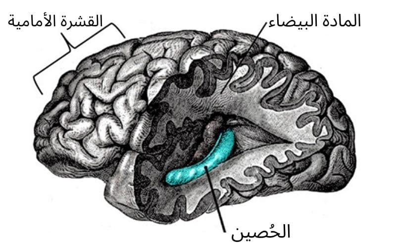 الإبداع و غسل الصحون