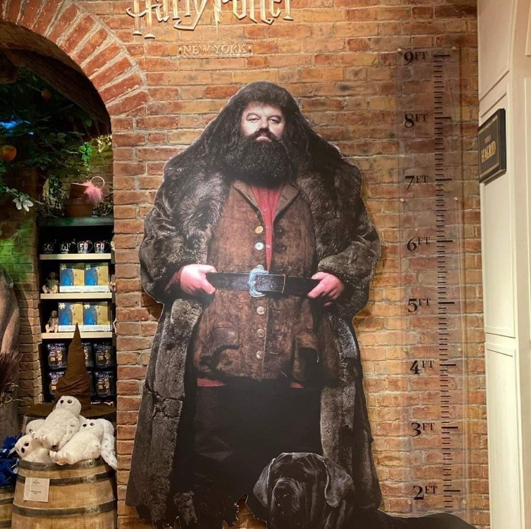 في نيويروك متجر هاري بوتر