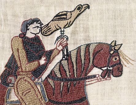 صورة تبين تفاصيل التطريز في نسيج بايو - صورة دقيقة من إحدى المشاهد