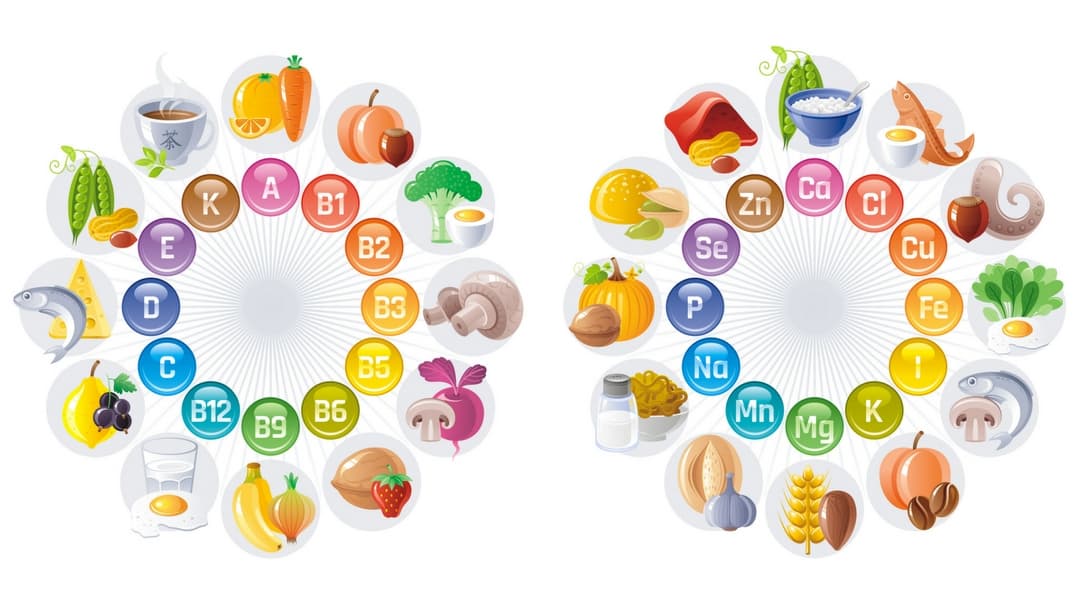 التغذية: الفيتامينات والمعادن Nutrition: Vitamins and Minerals